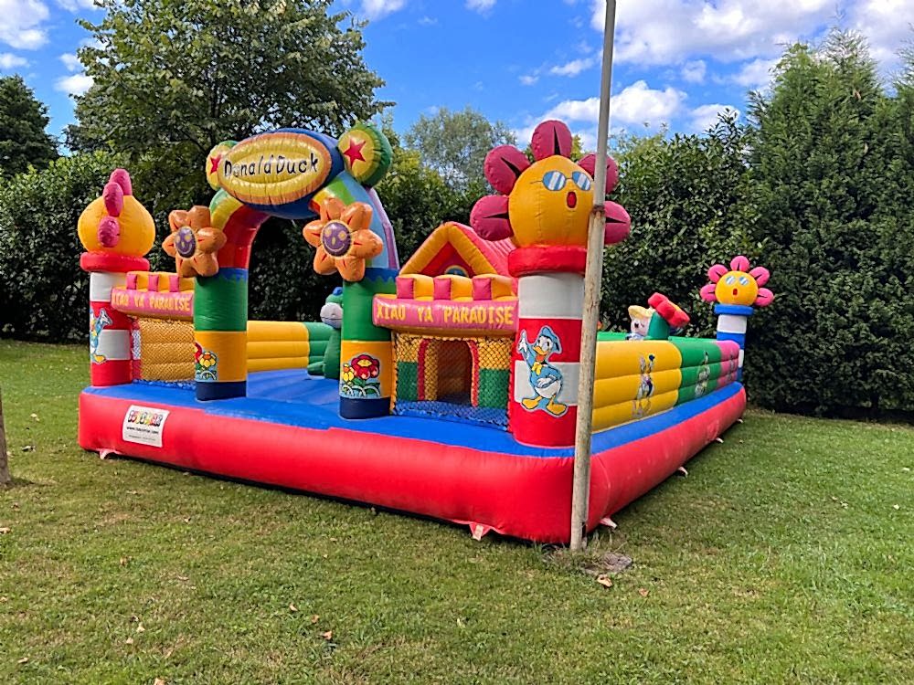 DONALD DUCK OYUN BAHÇESİ